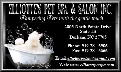 Site Banner